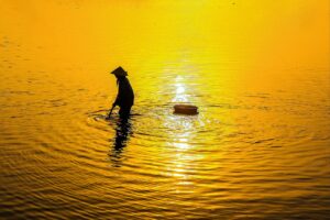 博多の中洲で楽しむ絶品もつ鍋の魅力とは？