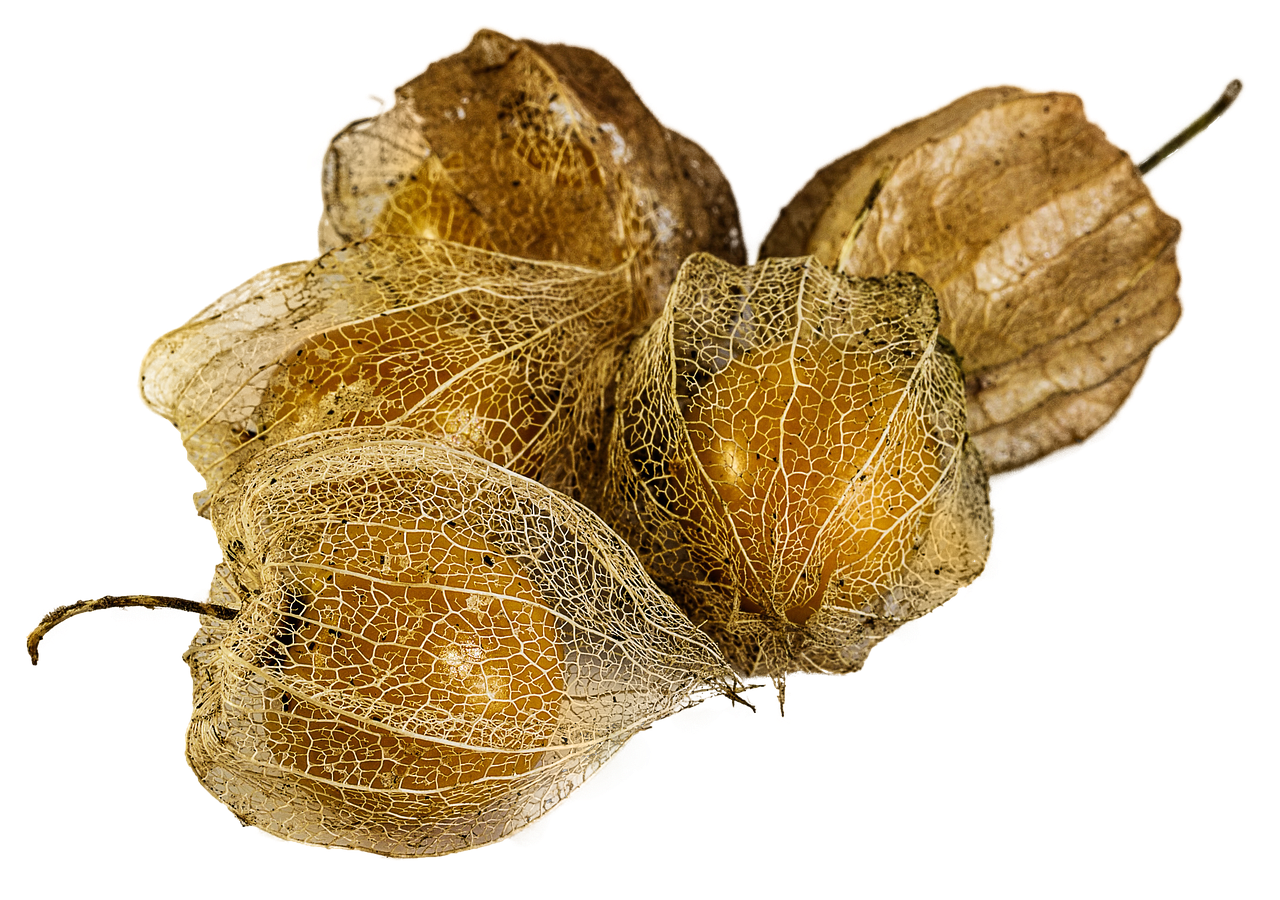 中洲でもつ鍋を飲む前に食べておくべき量は？