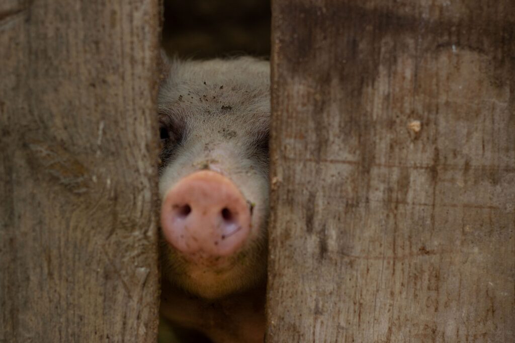 中洲でもつ鍋を年末年始に楽しむ際の注意点は？