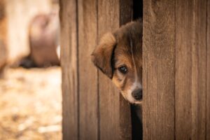 中洲でもつ鍋を一人で楽しむ際の予算目安は？