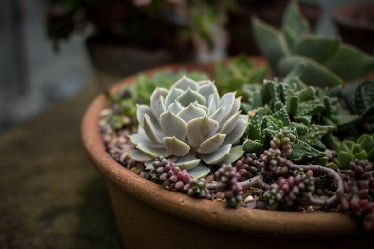 中洲のもつ鍋で人気のメニューは何？