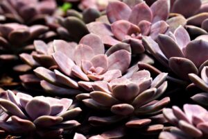 もつ鍋の予約は本当に必要？その理由とおすすめのタイミングは？