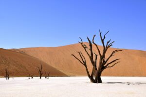 もつ鍋 中洲の比較はどれが一番おすすめ？